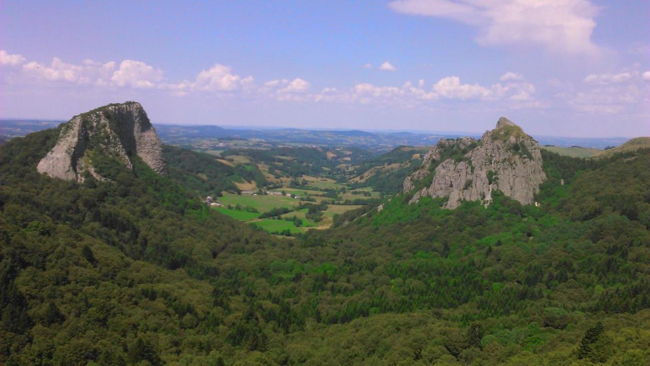 Tulipe, Appartement 5 Personnes, Entre Sancy Et Volcans D'Auvergne Orcival Exteriör bild