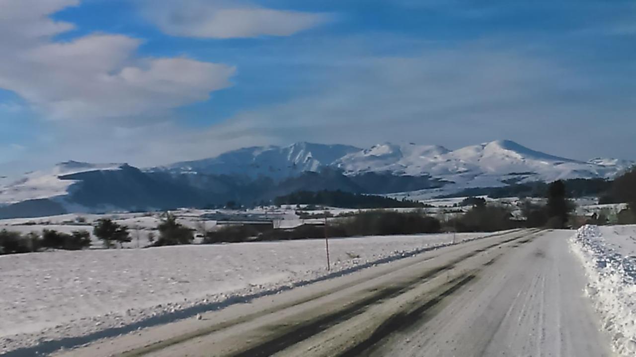 Tulipe, Appartement 5 Personnes, Entre Sancy Et Volcans D'Auvergne Orcival Exteriör bild