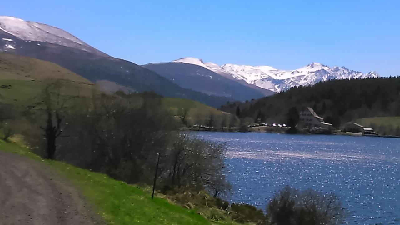 Tulipe, Appartement 5 Personnes, Entre Sancy Et Volcans D'Auvergne Orcival Exteriör bild