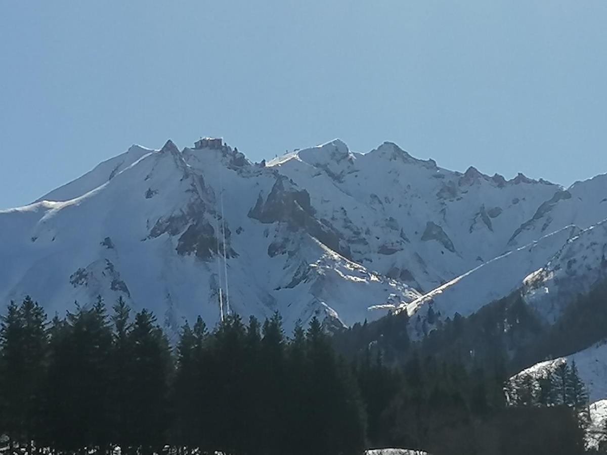 Tulipe, Appartement 5 Personnes, Entre Sancy Et Volcans D'Auvergne Orcival Exteriör bild
