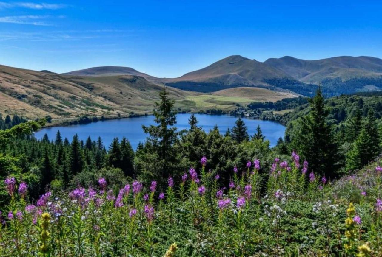 Tulipe, Appartement 5 Personnes, Entre Sancy Et Volcans D'Auvergne Orcival Exteriör bild