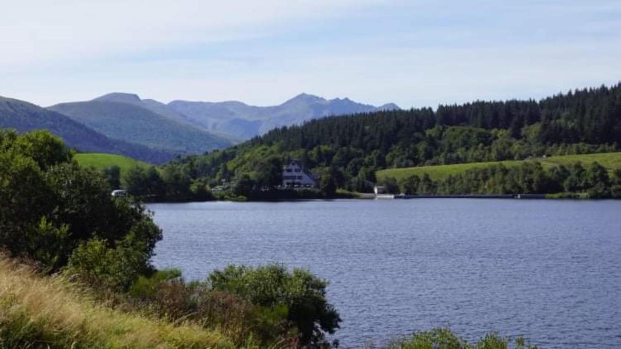 Tulipe, Appartement 5 Personnes, Entre Sancy Et Volcans D'Auvergne Orcival Exteriör bild